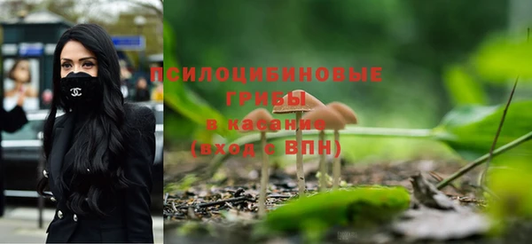 твердый Бугульма