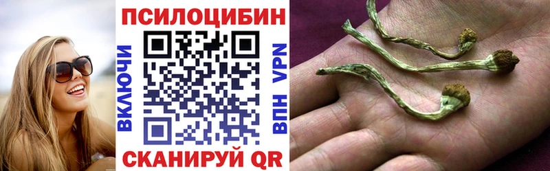 Псилоцибиновые грибы прущие грибы  маркетплейс официальный сайт  Великий Новгород 